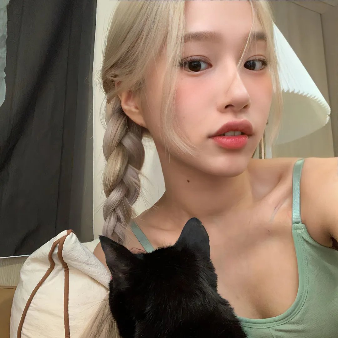 金牌贱猫：重新出击